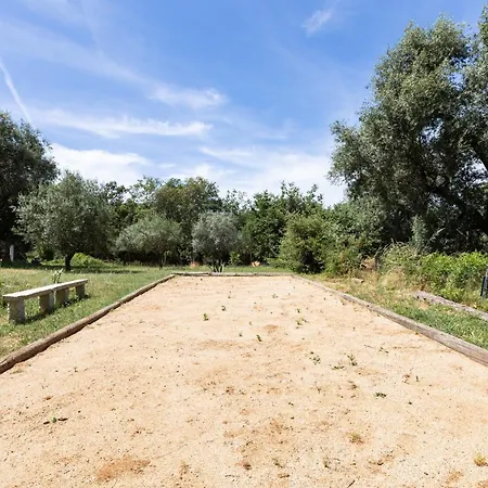 Alcido * Muro (Corsica)