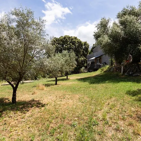 Alcido Muro (Corsica)